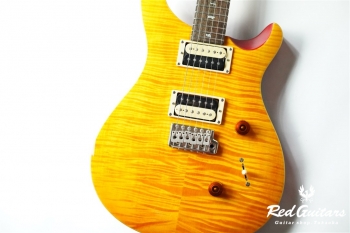 SE Custom 24 - VY